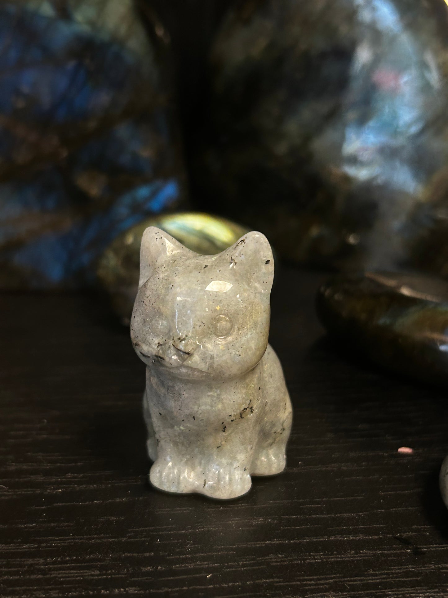 Pierre chat labradorite